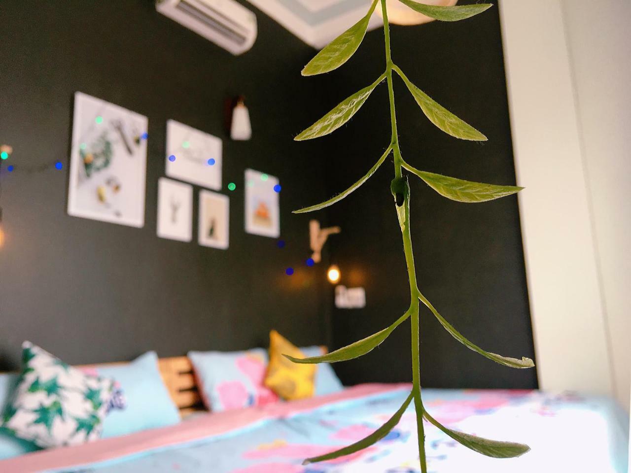Huha Home - ダナン市 エクステリア 写真
